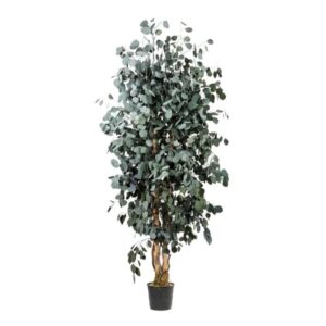 Planta Decorativa Slim Populus