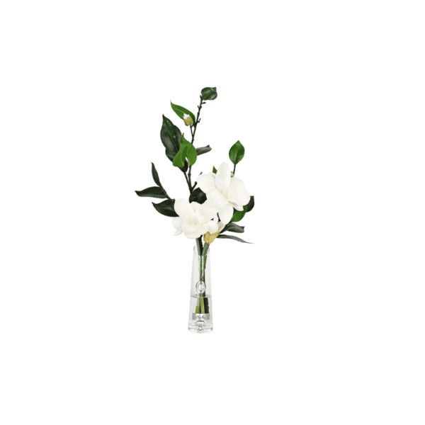 Flor Perfumada - Magnólia de Verão