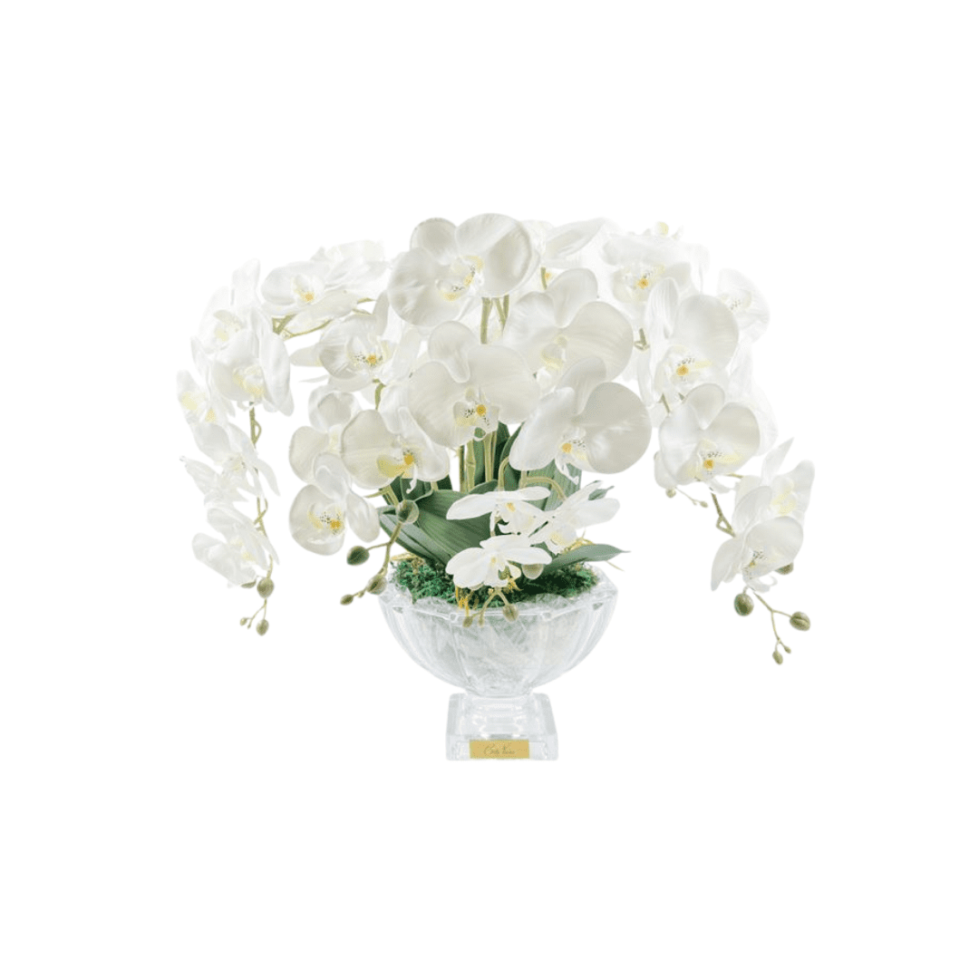 Flor Perfumada - Centerpiece Orchids